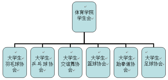 體育學院團總支學生會組織結構